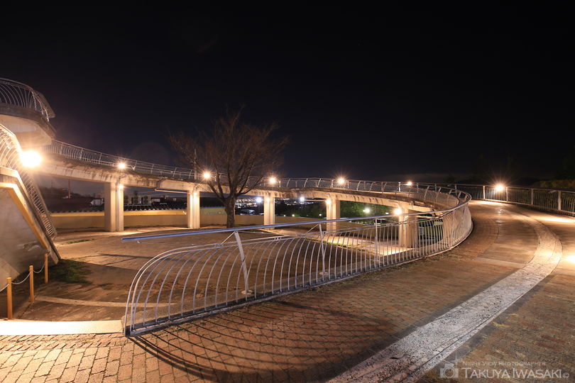 山本山手中央公園前の夜景スポット写真（5）