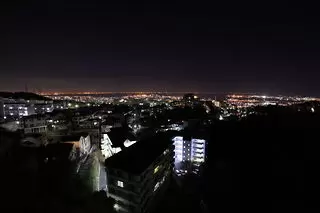 大月大橋の夜景
