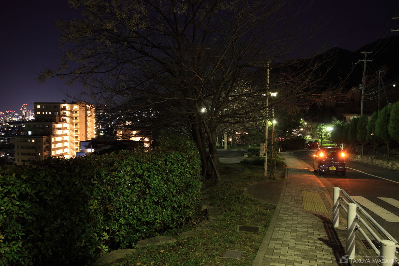 六甲台中公園の夜景スポット写真（4）