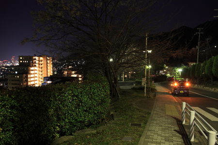 六甲台中公園の夜景スポット写真（4）class=