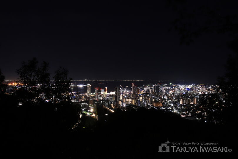 諏訪山公園 展望ポイントの夜景スポット写真（1）