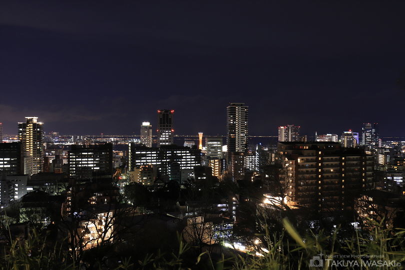 諏訪山公園 金星台の夜景スポット写真（1）