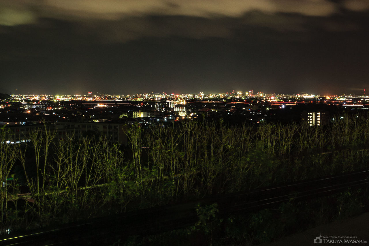 紀ノ川SA（下り）の夜景スポット写真（4）