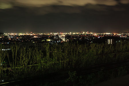 紀ノ川SA(下り)の夜景スポット写真（4）class=