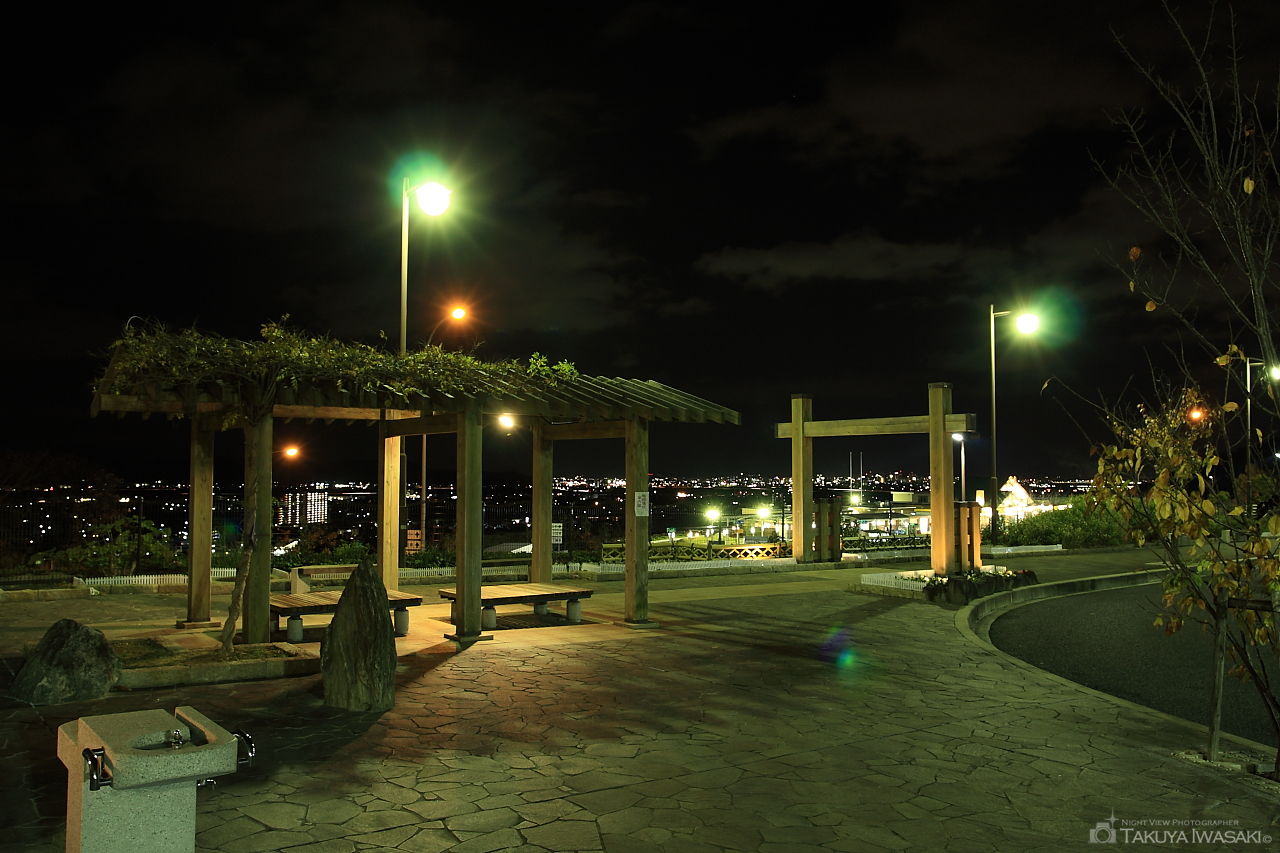紀ノ川SA(上り)の夜景スポット写真（4）