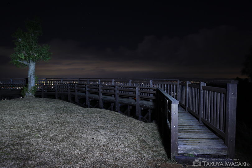 森林公園雨の森 展望台の夜景スポット写真（4）