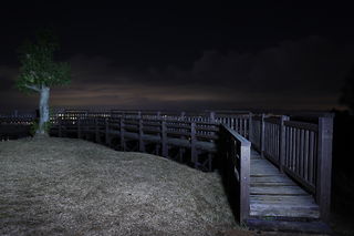 森林公園雨の森 展望台の夜景スポット写真（4）class=