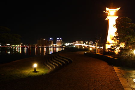 ライトアップされた公園と宍道湖の水面夜景