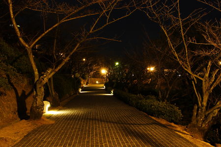 千光寺公園の夜景スポット写真（5）class=