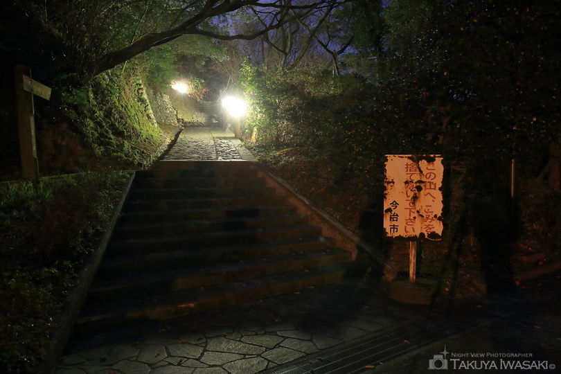 糸山公園展望台の夜景スポット写真（5）