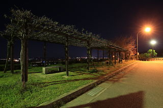 石鎚山ハイウエイオアシスの夜景スポット写真（4）class=
