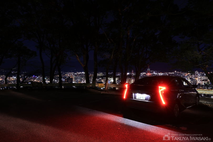 筆山公園 第一駐車場の夜景スポット写真（6）