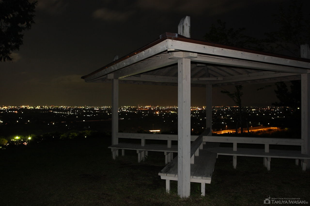 金立公園の夜景スポット写真（3）