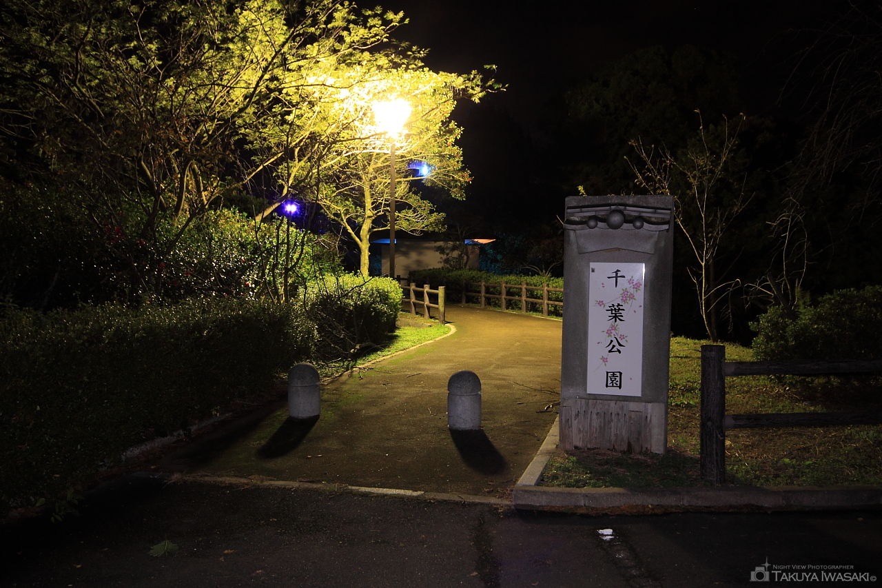 千葉公園の夜景スポット写真（5）