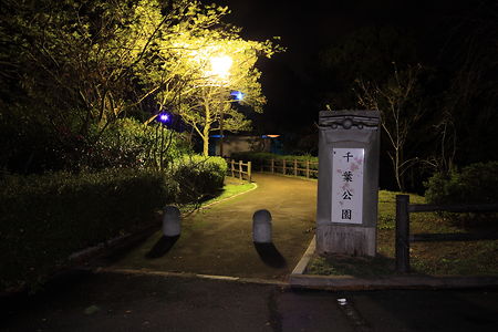 千葉公園の夜景スポット写真（5）class=