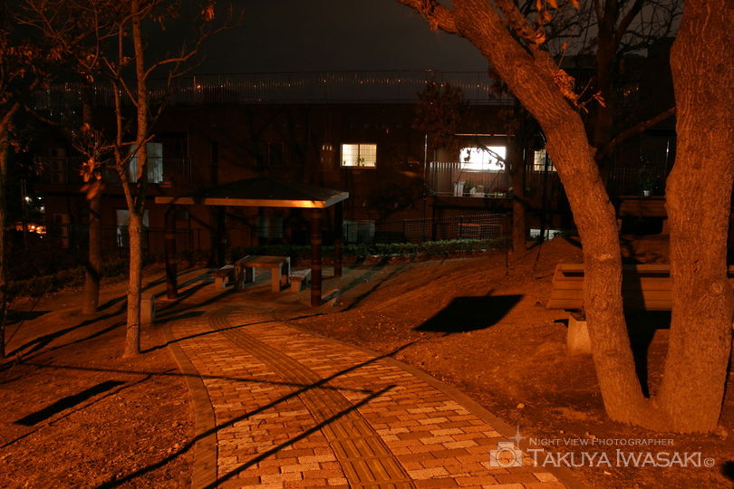 道路公園の夜景スポット写真（2）