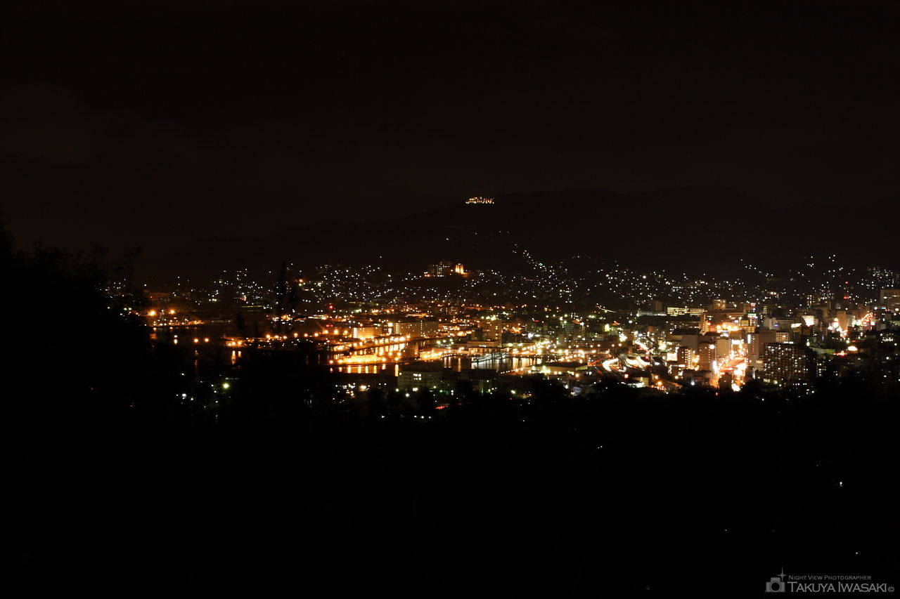 天神山公園の夜景スポット写真（1）