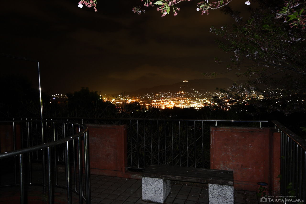 天神山公園の夜景スポット写真（2）