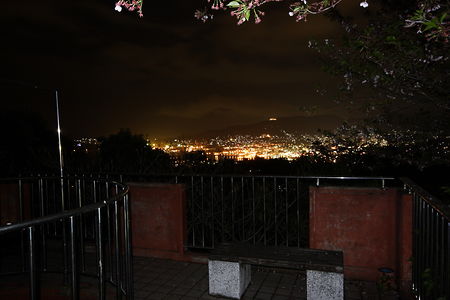 天神山公園の夜景スポット写真（2）class=