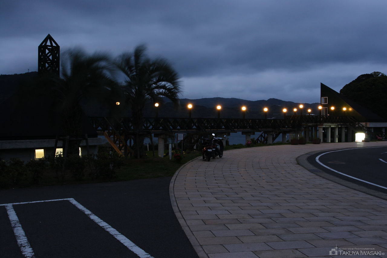 大島大橋公園の夜景スポット写真（2）