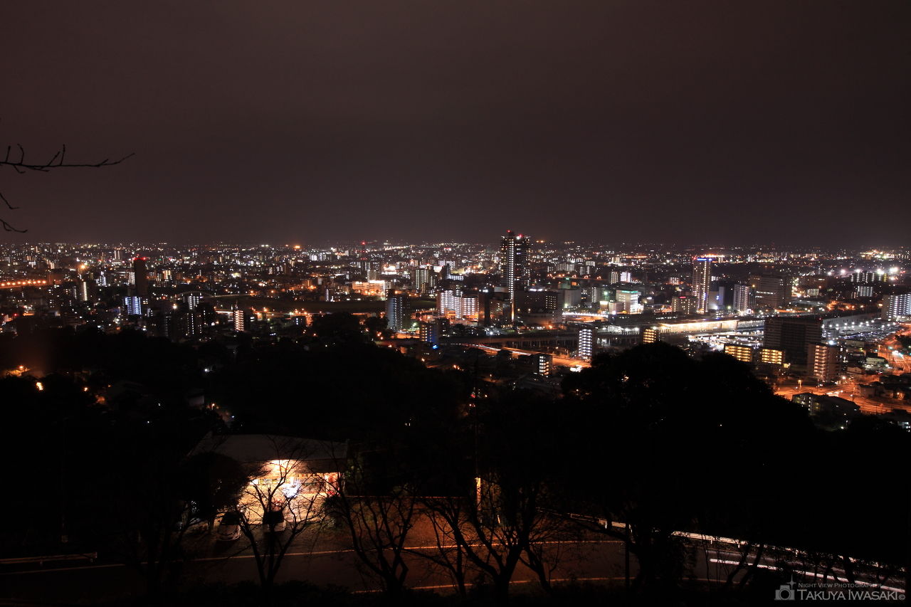 花岡山の夜景スポット写真（1）
