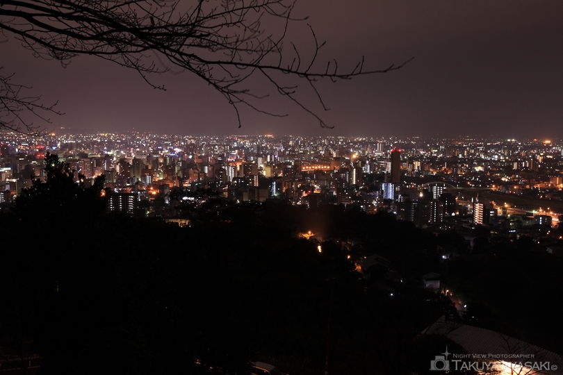 花岡山の夜景スポット写真（2）