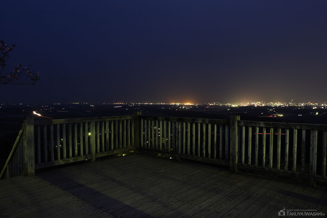 母智丘公園の夜景スポット写真（3）