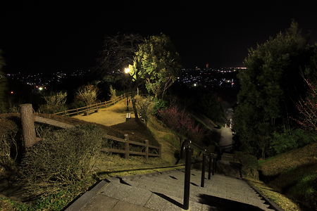 階段付近から夜景を見下ろす