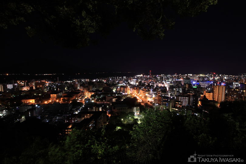 城山展望台の夜景スポット写真（1）