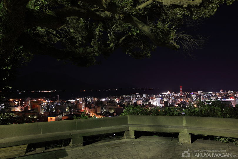 城山展望台の夜景スポット写真（4）