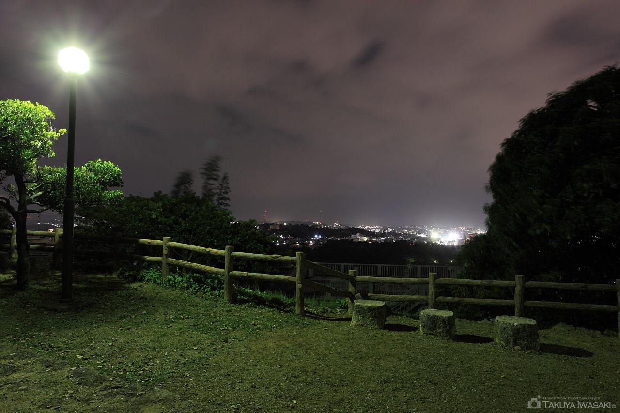 崎山公園の夜景スポット写真（2）