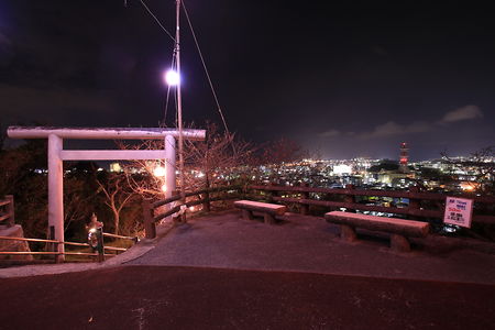 名護中央公園の夜景スポット写真（5）class=