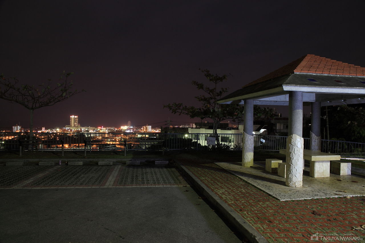 謝苅公園の夜景スポット写真（4）