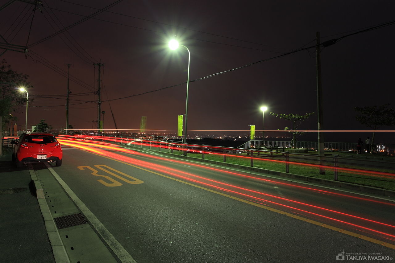 謝苅公園の夜景スポット写真（5）