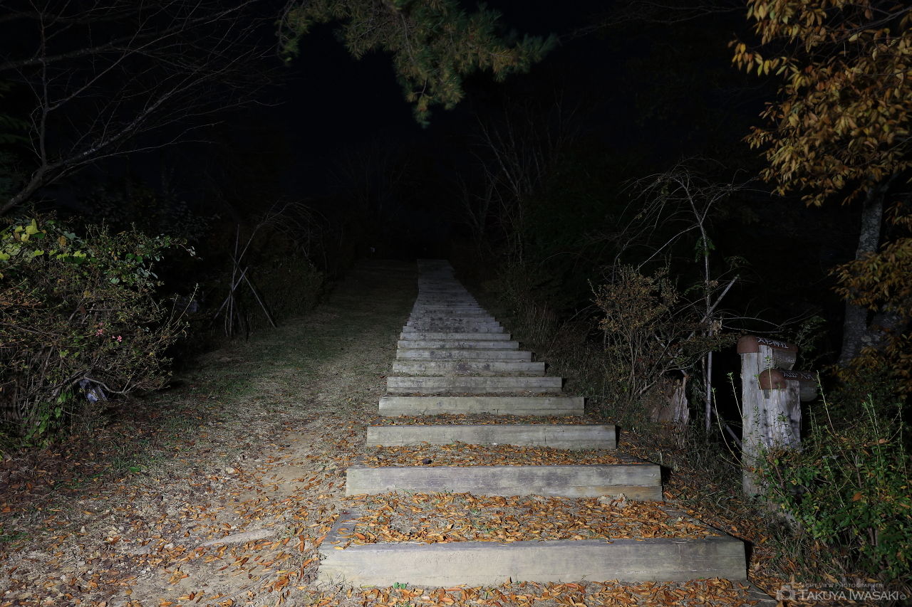 安波山 山頂の夜景スポット写真（5）