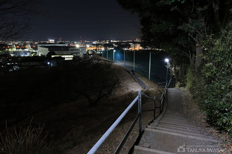 ぼうさいの丘公園の夜景スポット写真（2）