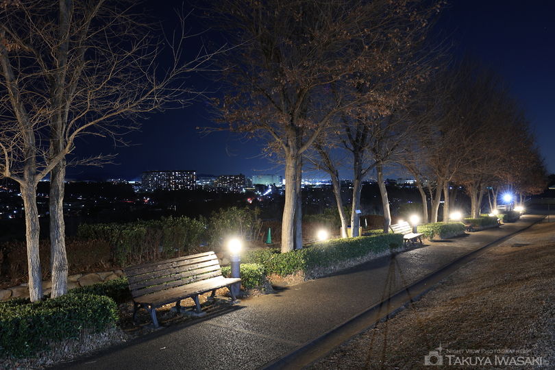 ぼうさいの丘公園の夜景スポット写真（4）