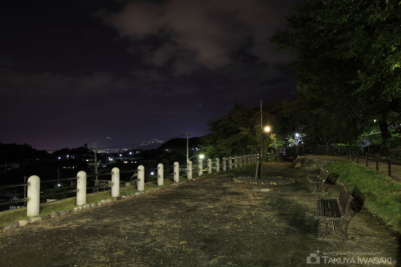 勝沼ぶどう郷・甚六桜公園の夜景スポット写真（3）
