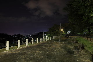勝沼ぶどう郷・甚六桜公園の夜景スポット写真（3）class=