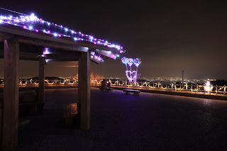 三ヶ根山スカイライン 第一見晴台の夜景スポット写真（4）class=