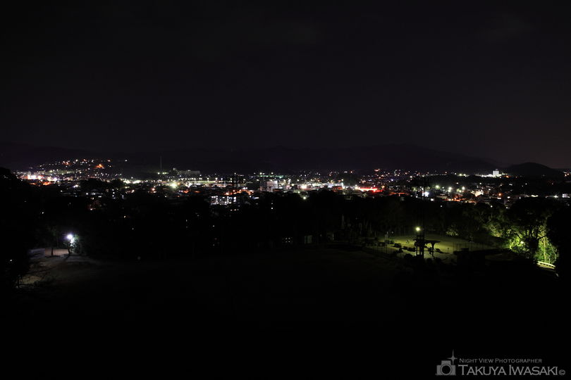 弘法山公園の夜景スポット写真（1）