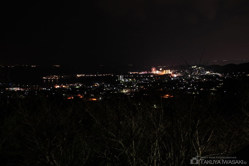 御津山展望台の夜景スポット写真（2）