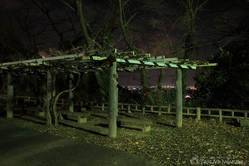 御津山展望台の夜景スポット写真（5）