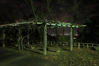御津山展望台の夜景スポット写真（5）class=