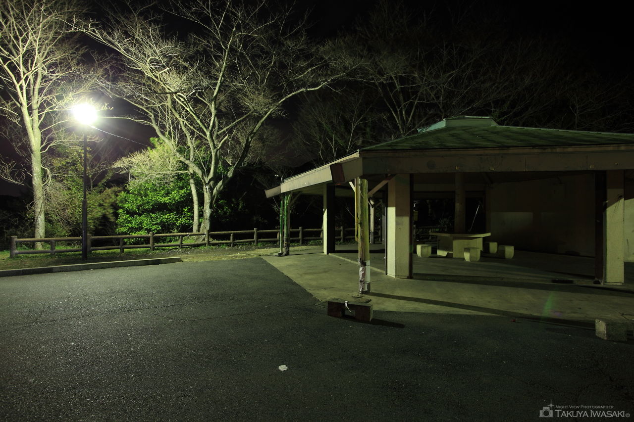 多米峠の夜景スポット写真（3）