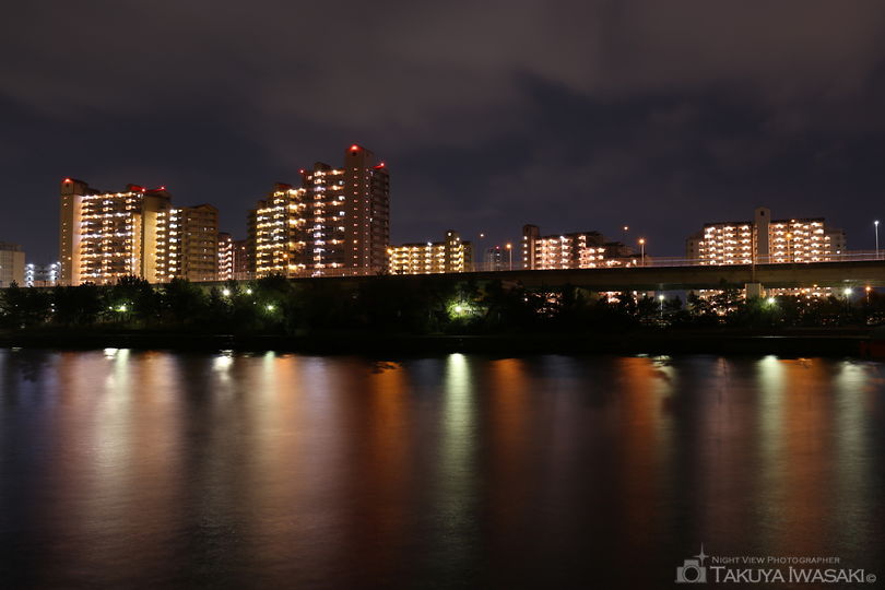 泉大津旧港先端緑地の夜景スポット写真（1）