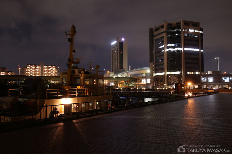 泉大津旧港先端緑地の夜景スポット写真（2）
