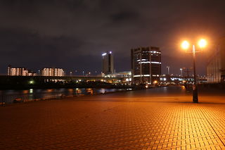 泉大津旧港先端緑地の夜景スポット写真（4）class=