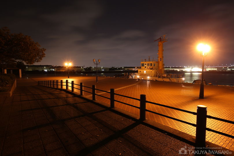 泉大津旧港先端緑地の夜景スポット写真（5）