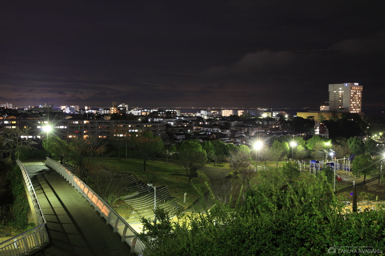 苔谷公園の夜景スポット写真（1）